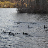 DSC_0275.JPG