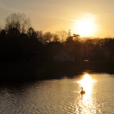 DSC_0303.JPG