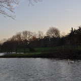 DSC_0307.JPG