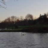 DSC_0308.JPG
