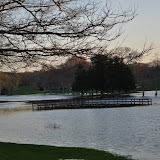 DSC_0310.JPG