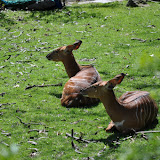 DSC_0086.JPG