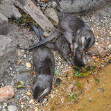 DSC_0094.JPG