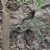 DSC_0095.JPG