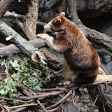 DSC_0097.JPG
