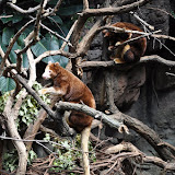 DSC_0099.JPG