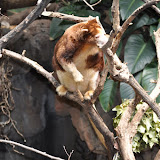 DSC_0101.JPG