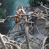 DSC_0107.JPG