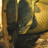 DSC_0017.JPG