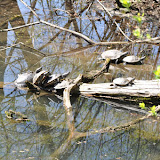 DSC_0040.JPG