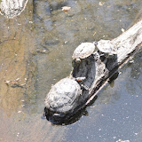 DSC_0043.JPG
