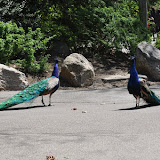 DSC_0044.JPG
