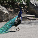 DSC_0048.JPG