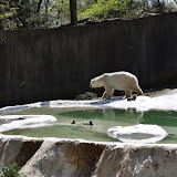 DSC_0057.JPG