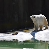 DSC_0056.JPG