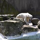 DSC_0064.JPG