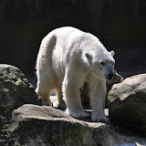 DSC_0065.JPG