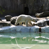 DSC_0066.JPG