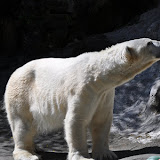 DSC_0070.JPG
