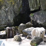 DSC_0068.JPG