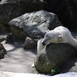 DSC_0076.JPG