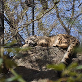 DSC_0079.JPG