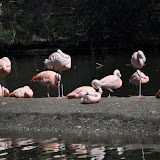 DSC_0240.JPG