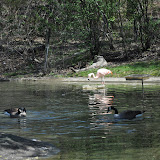 DSC_0242.JPG