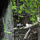 DSC_0121.JPG