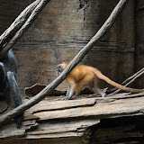 DSC_0124.JPG