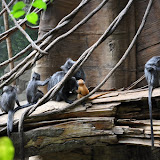 DSC_0126.JPG