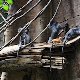 DSC_0133.JPG