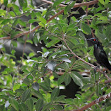 DSC_0136.JPG