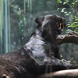 DSC_0145.JPG