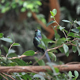 DSC_0150.JPG