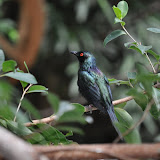 DSC_0151.JPG