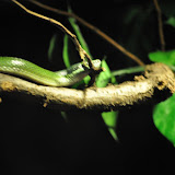 DSC_0157.JPG