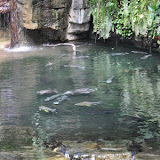DSC_0158.JPG