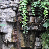 DSC_0159.JPG