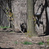 DSC_0165.JPG
