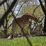 DSC_0174.JPG