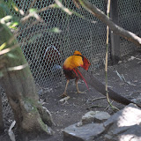 DSC_0230.JPG