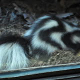 DSC_0311.JPG