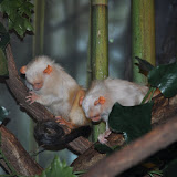 DSC_0324.JPG