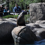 DSC_0336.JPG