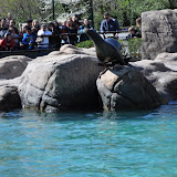 DSC_0337.JPG