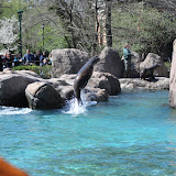 DSC_0341.JPG