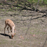 DSC_0090.JPG