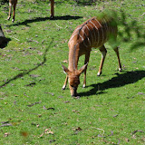 DSC_0091.JPG