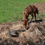 DSC_0092.JPG